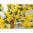 Kép 3/8 - EUROPALMS Forsythia tree with 3 trunks, artificial plant, yellow, 150cm
