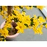 Kép 4/8 - EUROPALMS Forsythia tree with 3 trunks, artificial plant, yellow, 150cm