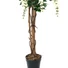 Kép 3/3 - EUROPALMS Wisteria, artificial plant, white, 150cm