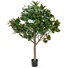 Kép 1/3 - EUROPALMS Magnolia tree, artificial plant, 150cm
