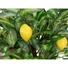 Kép 3/4 - EUROPALMS Lemon Tree, artificial plant, 150cm