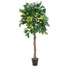 Kép 4/4 - EUROPALMS Lemon Tree, artificial plant, 150cm