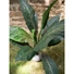 Kép 6/7 - EUROPALMS Sago palm tree, artificial, 45cm