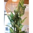 Kép 7/8 - EUROPALMS Dieffenbachia, artificial, 120cm
