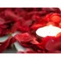 Kép 6/7 - EUROPALMS Rose Petals, artificial, red, 500x
