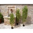 Kép 6/8 - EUROPALMS Bamboo Deluxe, artificial plant, 180cm