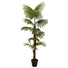Kép 2/8 - EUROPALMS Fan Palm, artificial plant, 155cm