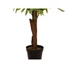 Kép 3/8 - EUROPALMS Fan Palm, artificial plant, 155cm