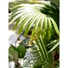 Kép 5/8 - EUROPALMS Fan Palm, artificial plant, 165cm