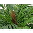 Kép 4/5 - EUROPALMS Areca Palm, artificial plant, 140cm