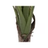 Kép 3/3 - EUROPALMS Banana Tree, artificial plant, 100cm