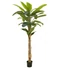 Kép 1/4 - EUROPALMS Banana tree, artificial plant, 210cm
