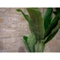 Kép 4/8 - EUROPALMS Banana Tree, artificial plant, 120cm