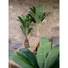 Kép 6/8 - EUROPALMS Banana Tree, artificial plant, 120cm