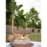 Kép 7/8 - EUROPALMS Banana Tree, artificial plant, 120cm