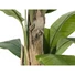 Kép 3/8 - EUROPALMS Banana Tree, artificial plant, 170cm