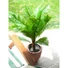 Kép 4/8 - EUROPALMS Cycas Palm Tree, artificial plant, 70cm