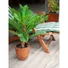 Kép 5/8 - EUROPALMS Cycas Palm Tree, artificial plant, 70cm