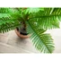 Kép 8/8 - EUROPALMS Cycas Palm Tree, artificial plant, 70cm