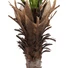 Kép 4/4 - EUROPALMS Phoenix  Palm Deluxe, artificial plant, 220cm