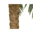 Kép 3/4 - EUROPALMS Phoenix Palm Deluxe, artificial plant, 250cm
