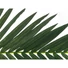 Kép 3/3 - EUROPALMS Coconut King Palm Branch, artificial, 150cm