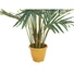 Kép 4/4 - EUROPALMS Canary date Palm, artificial plant, 240cm