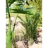 Kép 6/8 - EUROPALMS Kentia Palm Tree, artificial plant, 140cm