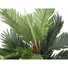Kép 2/4 - EUROPALMS Kentia Palm Tree, artificial plant, 120cm