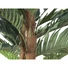 Kép 3/4 - EUROPALMS Kentia Palm Tree, artificial plant, 120cm
