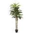 Kép 1/4 - EUROPALMS Kentia palm tree, artificial plant, 150cm
