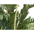 Kép 4/4 - EUROPALMS Kentia Palm Tree, artificial plant, 150cm