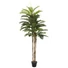 Kép 1/4 - EUROPALMS Kentia palm tree, artificial plant, 180cm