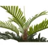 Kép 4/4 - EUROPALMS Kentia Palm Tree, artificial plant, 180cm