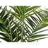 Kép 3/5 - EUROPALMS Kentia palm tree, artificial plant, 240cm