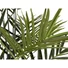 Kép 4/7 - EUROPALMS Kentia palm tree, artificial plant, 300cm