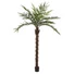 Kép 1/4 - EUROPALMS Kentia  palm tree deluxe, artificial plant, 300cm
