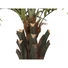Kép 3/4 - EUROPALMS Kentia  palm tree deluxe, artificial plant, 300cm