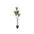 Kép 1/8 - EUROPALMS Yucca palm, artificial plant, 130cm