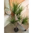 Kép 5/8 - EUROPALMS Yucca Palm Tree, artificial plant, 130cm