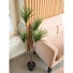 Kép 6/8 - EUROPALMS Yucca Palm Tree, artificial plant, 130cm