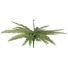Kép 2/8 - EUROPALMS Boston Fern, artificial plant, green, 70cm