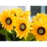 Kép 7/8 - EUROPALMS Sunflower, artificial plant, 70cm