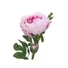 Kép 2/8 - EUROPALMS Peony Branch classic, artificial plant, pink, 80cm
