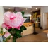 Kép 3/8 - EUROPALMS Peony Branch classic, artificial plant, pink, 80cm