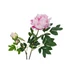 Kép 2/2 - EUROPALMS Peony Branch premium, artificial plant, pink, 100cm