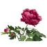 Kép 2/7 - EUROPALMS Peony Branch premium, artificial plant, magenta, 100cm