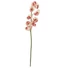 Kép 1/8 - EUROPALMS Cymbidium branch, artificial, creme-pink, 90cm