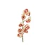 Kép 2/8 - EUROPALMS Cymbidium branch, artificial, creme-pink, 90cm