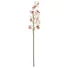 Kép 1/8 - EUROPALMS Cymbidium branch, artificial, white-pink, 90cm